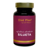 Diet Plan vyLaděné odvodnění Silueta